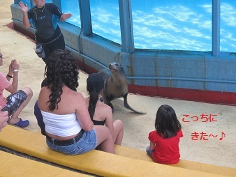 あたし・主婦の頭の中