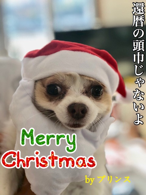547DB70A-000C-49A2-A7C9-5EF7036FA141