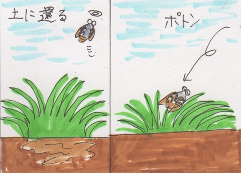 スキャン 1477