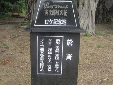 あたし・主婦の頭の中