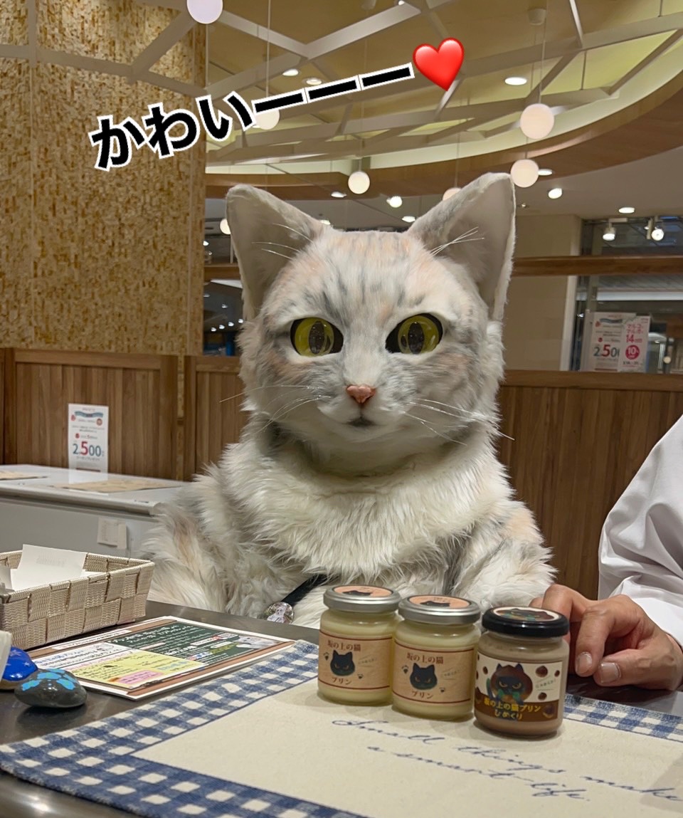 働き者の猫のミクちゃん カータンblog あたし 主婦の頭の中 Powered By ライブドアブログ
