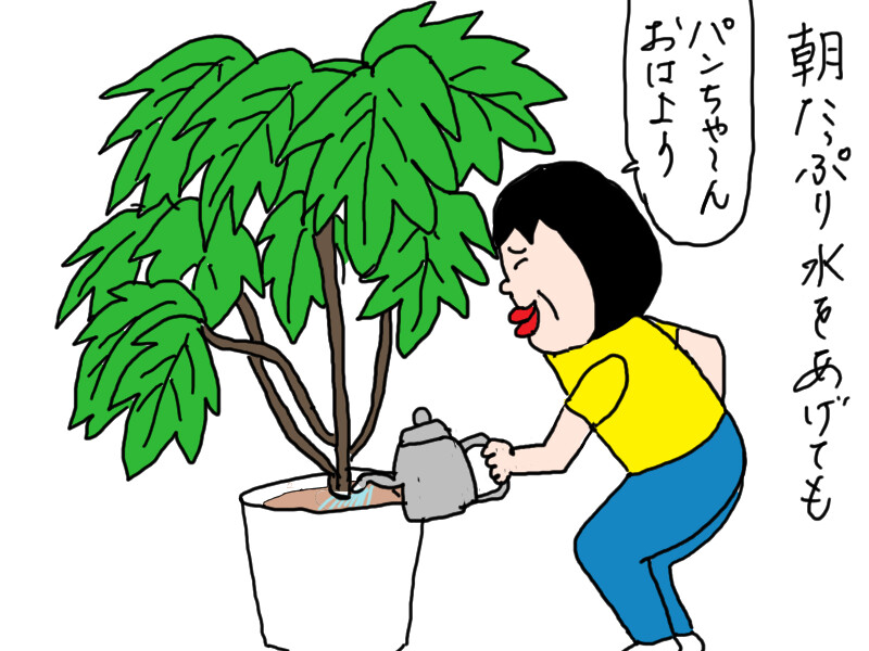 かまってパンちゃん : カータンBLOG あたし・主婦の頭の中 Powered by