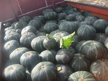 あたし・主婦の頭の中