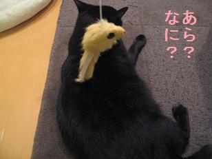 あたし・主婦の頭の中