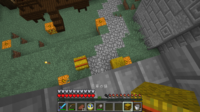 魔法村 マインクラフト リリシア放浪記