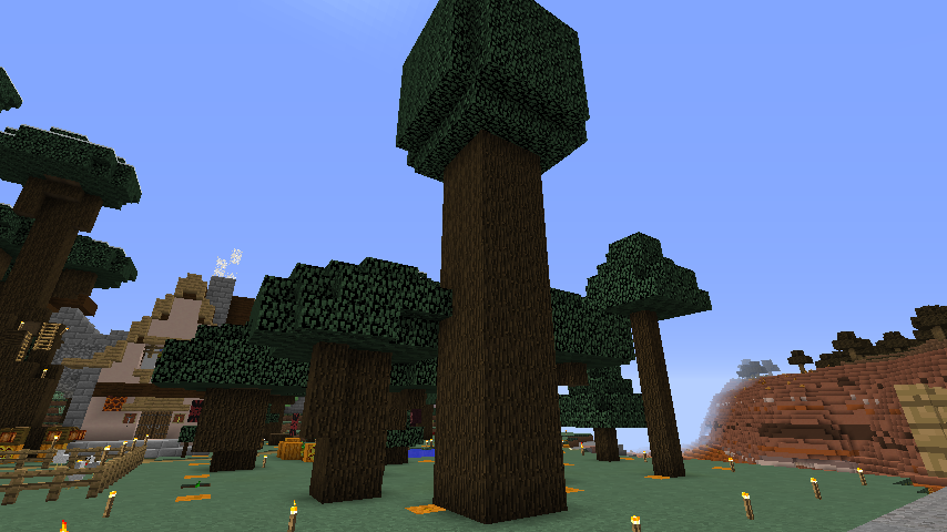 魔法村 黒に染まれ Ii マインクラフト リリシア放浪記