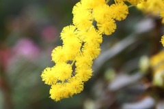 H28-2-26 ¦¥ß¥â¥¶