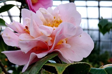 R2-2-12 ¥À㾮Į_SD013