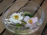 H19-12-29 散り椿