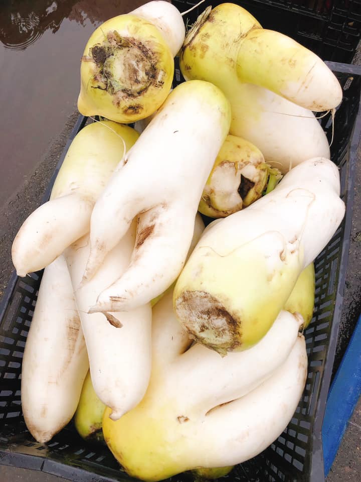 田中彩貴のエコ 不揃いお野菜を美味しく食べる 新潟ガールズ集団lily Marry S