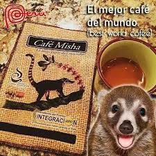 ハナグマの糞コーヒー 1杯8000円 ペルーのカフェミーシャが世界一高価なコーヒー 南米ペルーでガイドしています ハナグマの糞コーヒー 1杯8000円 ペルーのカフェミーシャが世界一高価なコーヒー 南米ペルーでガイドしています