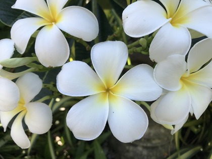 あなたの家をより美しくする11の絵画シリーズ