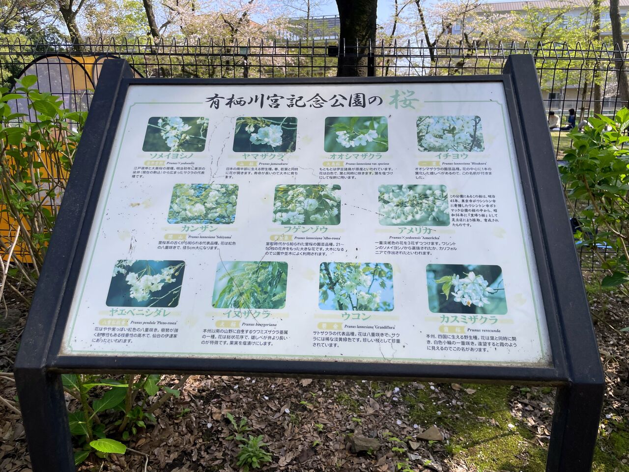 写真家、ハリケーン・サンディ後のニューヨークの写真をどのように撮ったかを明かす