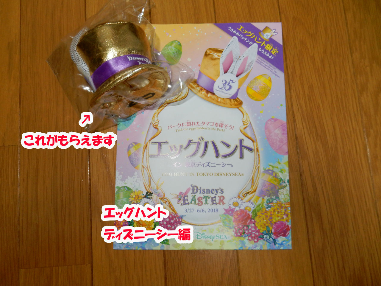 ディズニーシー Masahiroworks ディズニーシー Masahiroworks