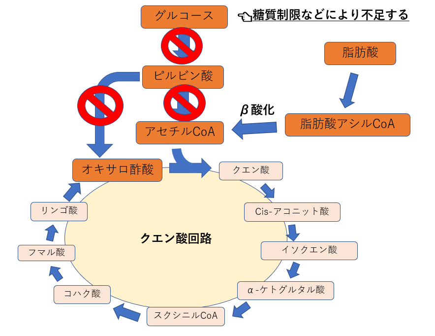 コリ 回路