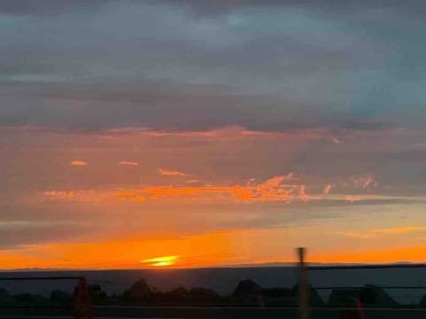 IMG_8420