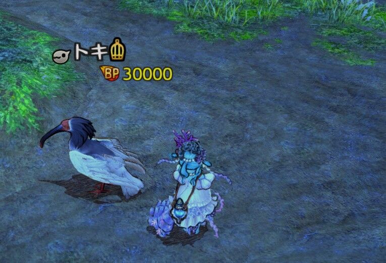 トキ キャラスト 伝説の不死鳥 キャラスト 迷ビースト図鑑