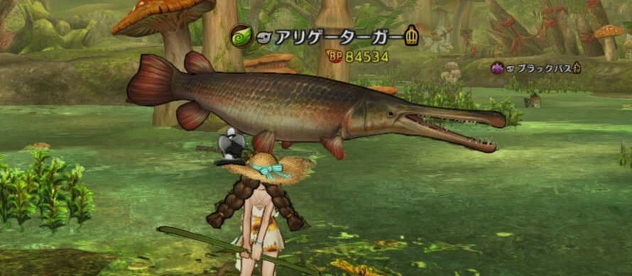 アリゲーターガー キャラスト 敵としては強いが キャラスト 迷ビースト図鑑 アリゲーターガー キャラスト 敵としては強いが キャラスト 迷ビースト図鑑