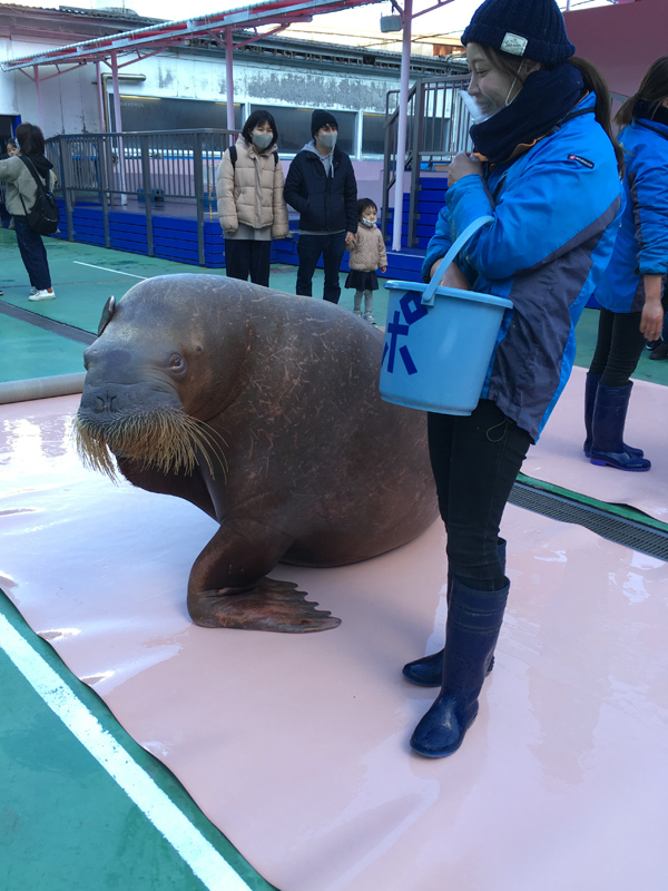 伊勢シーパラダイス 後編 竜胆庵日記