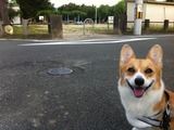 2012-09-12 06:39:12 写真1