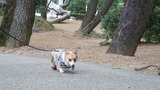 DSC01948