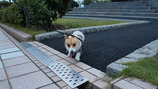 DSC01848