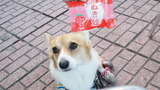 DSC01916
