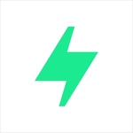Pasha_logo