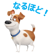 PET_15