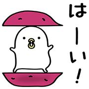 1220_Noisy Chicken popup