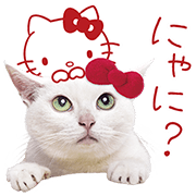 0202_Anago Kitty_sticker