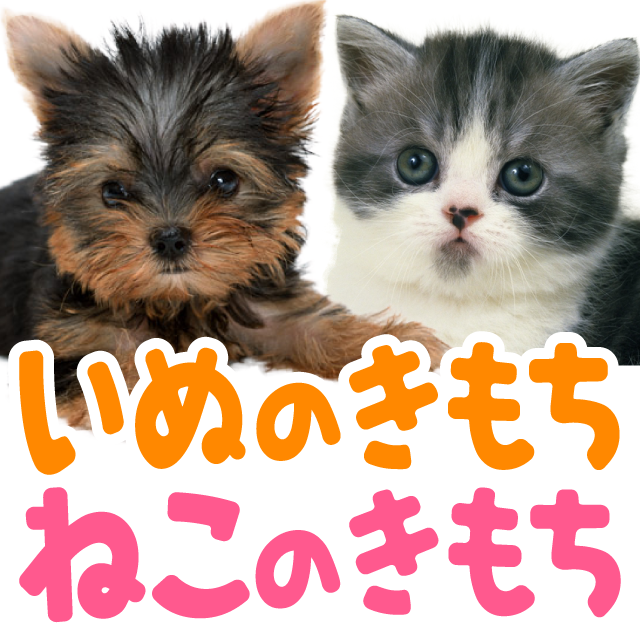 Myday 公式アカウント1  Myday 公式アカウント1 LINE公式アカウントはじめました