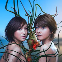 ナオミとカナコ