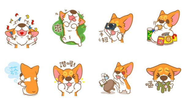 dog-cat-02