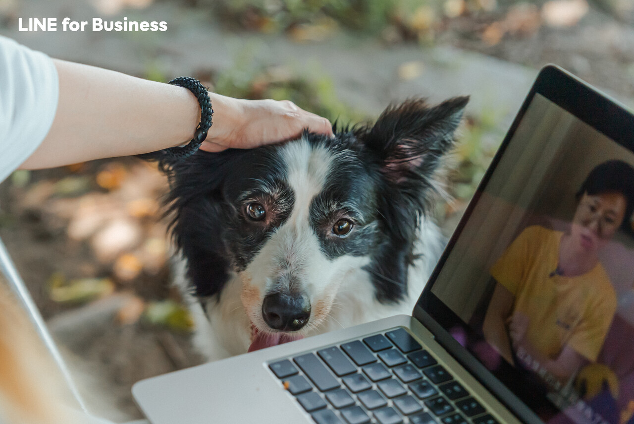 浪犬博士_產品照4