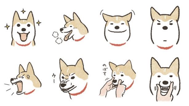 dog-cat-01