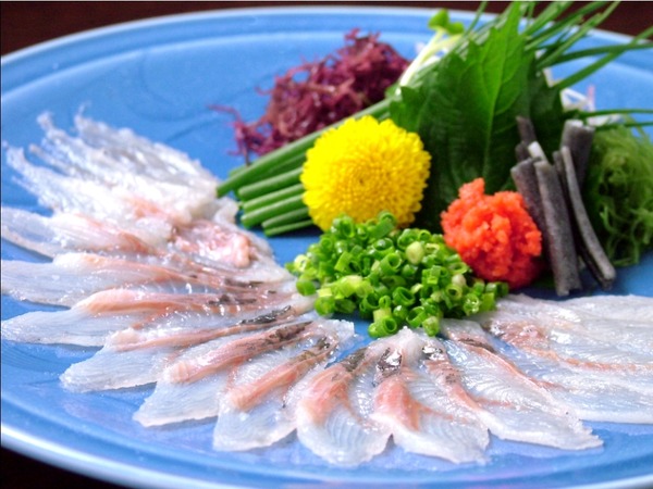 浜名湖鰻の刺身