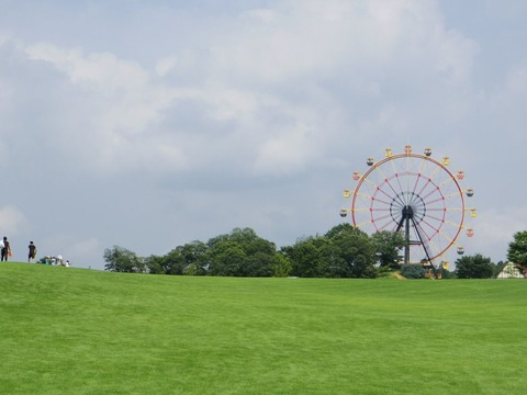 5_グリーン03