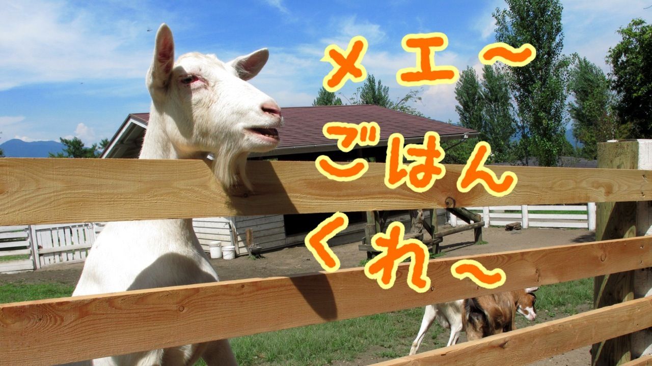 文字に縁取りできちゃう さらに楽しくなった文字入れ機能をご紹介 Line Camera ラインカメラ 公式ブログ