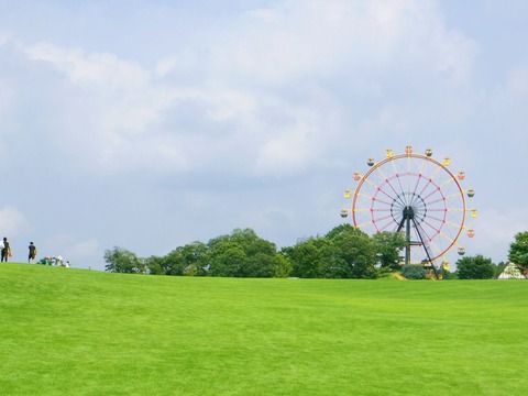 5_グリーン04