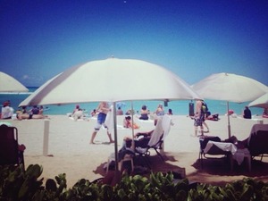 sun_download