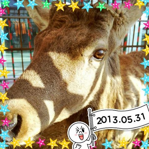 date_4