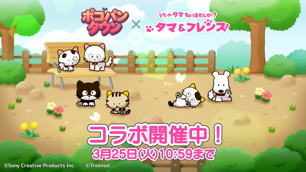 LINE ポコパンタウン】『タマ＆フレンズ～うちのタマ知りませんか