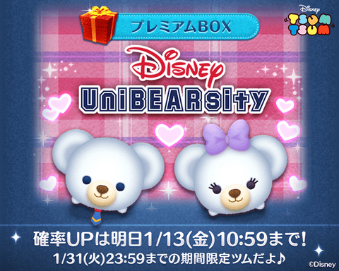 unibearsity