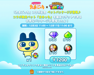 1200package_twitter