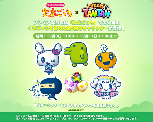 pet_spin_banner_1040_830_twitter