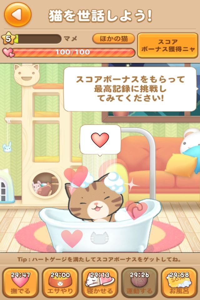 ミニゲームコレクション Line ぽんぽんぽん がリリース 猫をお世話しながらいろんなゲームを楽しもう Line Game公式ブログ ミニゲームコレクション Line ぽんぽんぽん がリリース 猫をお世話しながらいろんなゲームを楽しもう Line Game公式ブログ