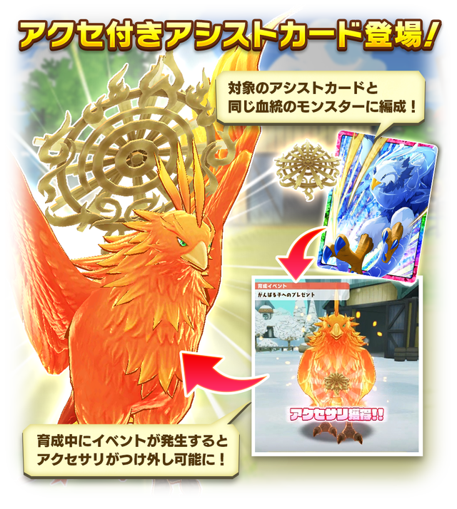 02c_News_230825Update_Accessory_1