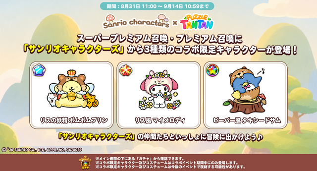 pet_spin_1040_560 (1)