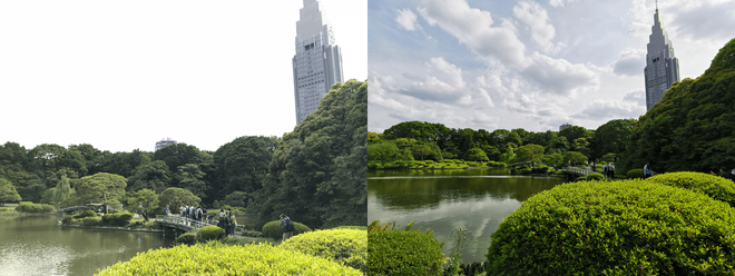 池の比較